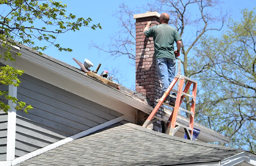 Chimney & Fireplace Inspections Services in West Springfield, VA